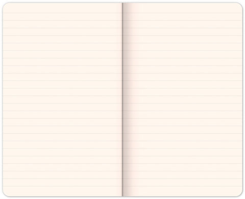 Notes Holubi Kateřiny Winterové, linkovaný, 13 × 21 cm