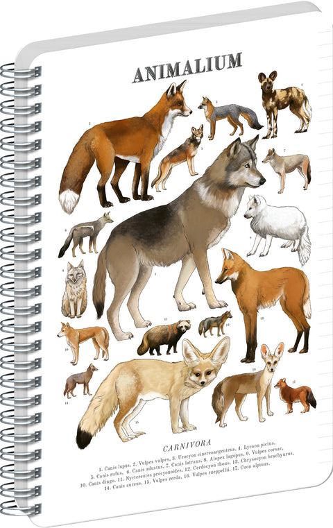 Spirálový blok Animalium – Psovité šelmy, linkovaný, A5