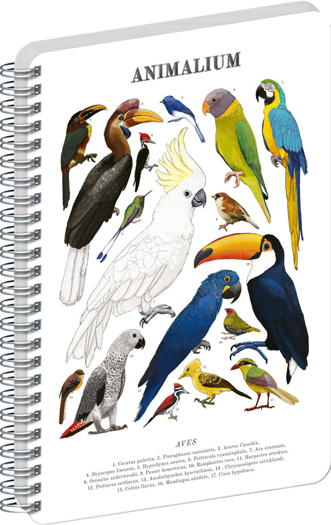 Spirálový blok Animalium – Ptáci, čistý, A5