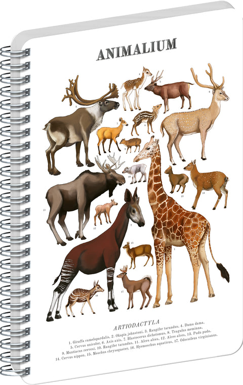 Spirálový blok Animalium – Sudokopytníci, čistý, A5