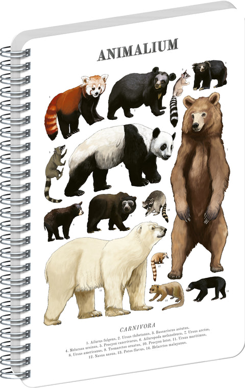Spirálový blok Animalium – Medvědovité šelmy, čistý, A5