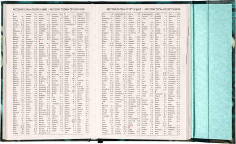 Týdenní magnetický diář Monstera 2026, 11 x 16 cm