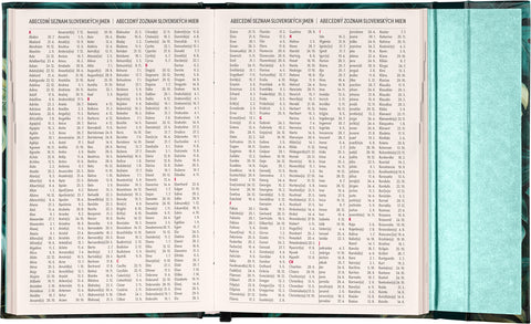 Týdenní magnetický diář Monstera 2026, 11 x 16 cm