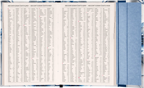 Týdenní magnetický diář Porcelánový květ 2026, 11 x 16 cm