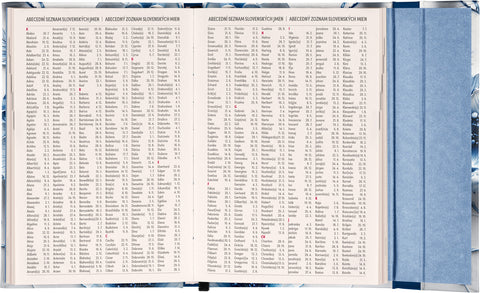 Týdenní magnetický diář Porcelánový květ 2026, 11 x 16 cm