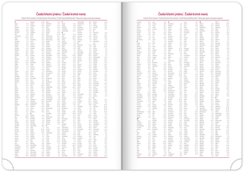 Denní diář Ajax 2026, zelený, 15 x 21 cm