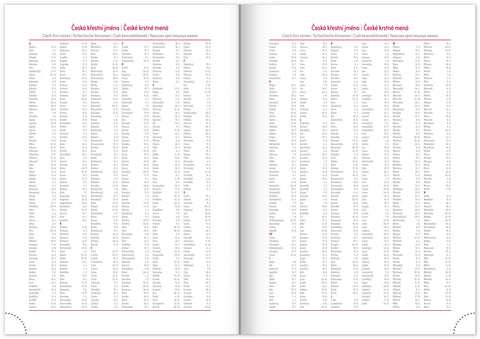 Denní diář Aprint Top 2026, oranžový, 15 x 21 cm