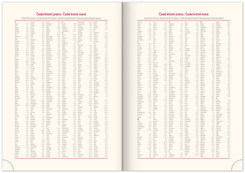 Denní diář Essenza 2026, oříšek, 15 x 21 cm