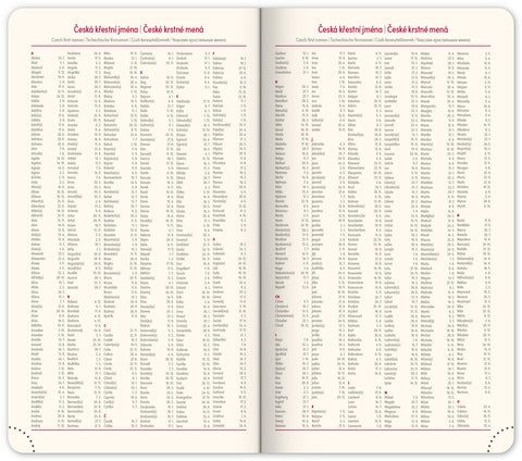 Kapesní diář Essenza 2026, káva, 9 x 15,5 cm