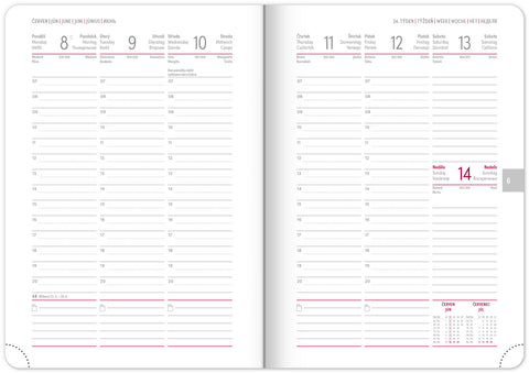 Týdenní diář Ajax 2026, zlatý, 15 x 21 cm