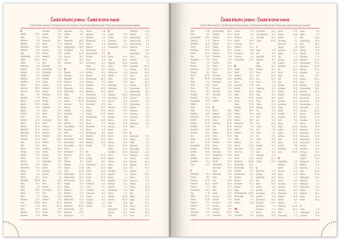 Týdenní diář Rivoli 2026, šedý, 15 x 21 cm