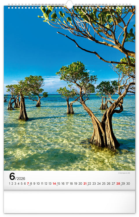 Nástěnný kalendář Stromy 2026, 33 x 46 cm