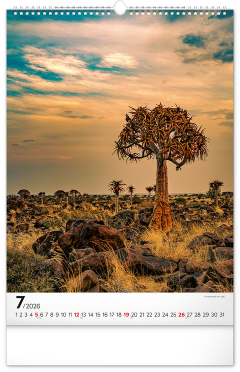 Nástěnný kalendář Stromy 2026, 33 x 46 cm