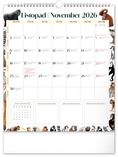 Nástěnný plánovací kalendář Animalium 2026, 30 x 34 cm