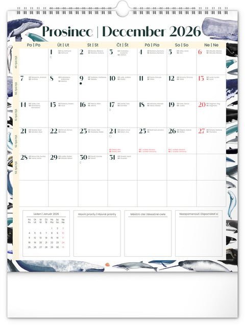 Nástěnný plánovací kalendář Animalium 2026, 30 x 34 cm