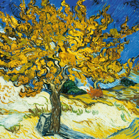 Poznámkový kalendář Vincent van Gogh 2026, 30 x 30 cm