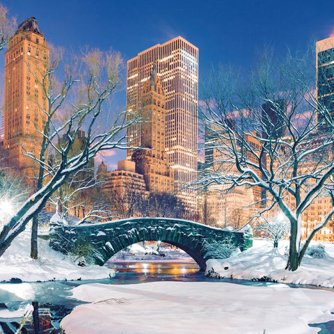 Poznámkový kalendář New York 2026, 30 x 30 cm