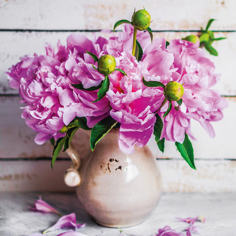 Poznámkový kalendář Květiny 2026, 30 x 30 cm