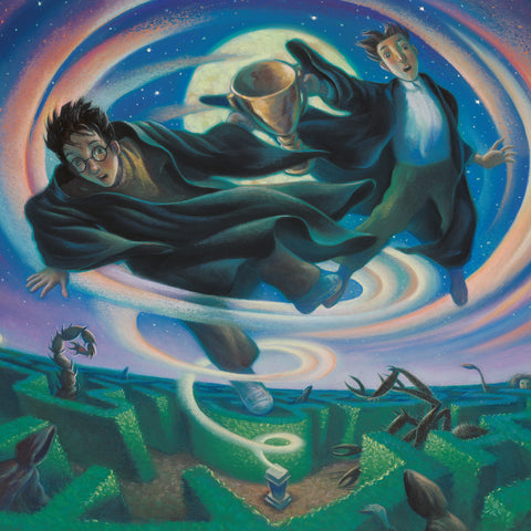 Poznámkový kalendář Harry Potter 2026, 30 x 30 cm
