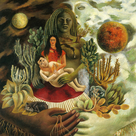 Poznámkový kalendář Frida Kahlo 2026, 30 x 30 cm