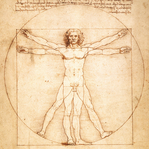 Poznámkový kalendář Leonardo da Vinci 2026, 30 x 30 cm