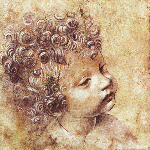Poznámkový kalendář Leonardo da Vinci 2026, 30 x 30 cm