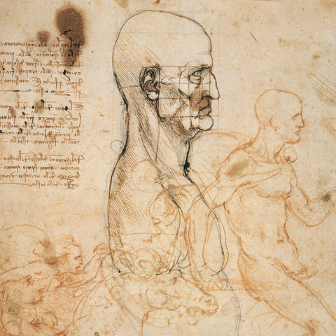 Poznámkový kalendář Leonardo da Vinci 2026, 30 x 30 cm