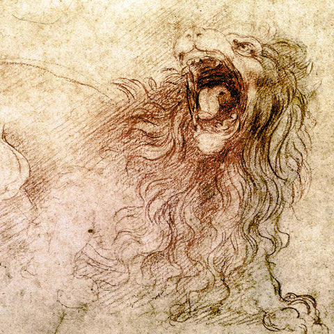 Poznámkový kalendář Leonardo da Vinci 2026, 30 x 30 cm