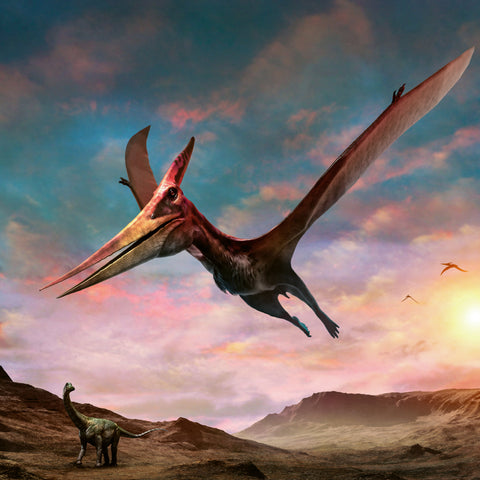 Poznámkový kalendář Dinosauři 2027, 30 x 30 cm