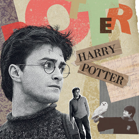 Poznámkový kalendář Harry Potter 2027, 30 x 30 cm