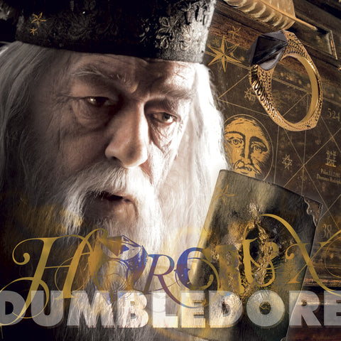 Poznámkový kalendář Harry Potter 2027, 30 x 30 cm