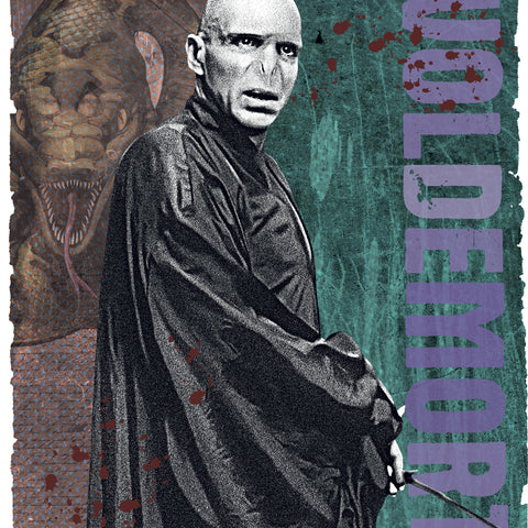 Poznámkový kalendář Harry Potter 2027, 30 x 30 cm