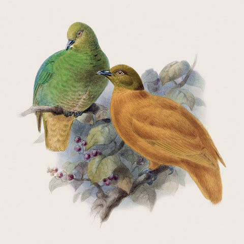 Poznámkový kalendář Ptáčci 2027, PLASTIC FREE, 30 x 30 cm
