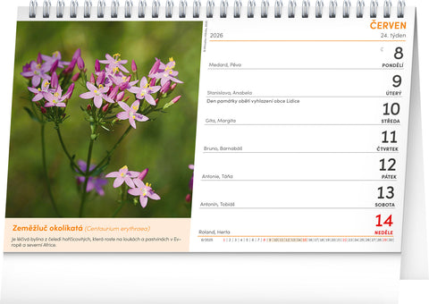 Stolní kalendář Přírodní lékárna 2026, 23,1 x 14,5 cm
