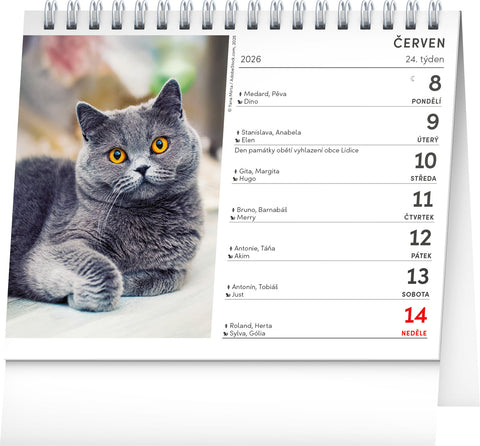 Stolní kalendář Kočky – se jmény koček 2026, 16,5 x 13 cm