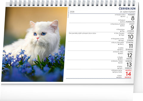 Stolní kalendář Kočky – Mačky CZ/SK 2026, 23,1 x 14,5 cm